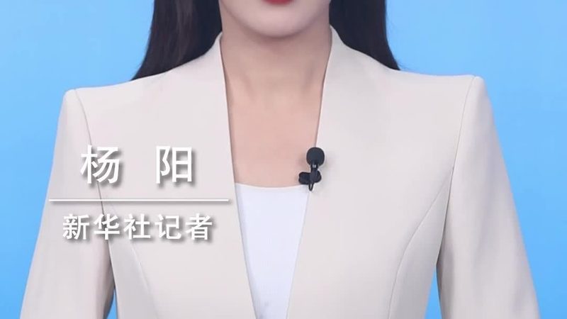 软件测试报告模板：构建可靠性的关键步骤